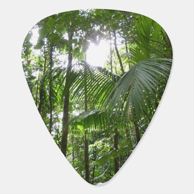 Sunlight Through Rainforest Canopy Tropical Green Guitar Pick (Back)