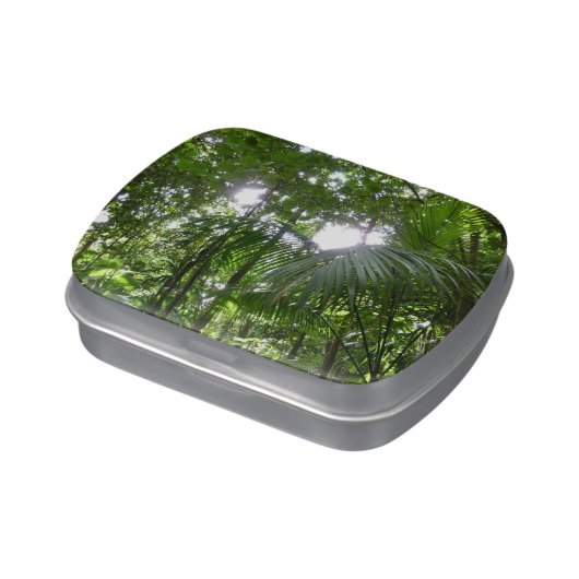 Sunlight Through Rainforest Canopy Tropical Green Jelly Belly Tin (Side)