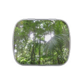 Sunlight Through Rainforest Canopy Tropical Green Jelly Belly Tin (Top)