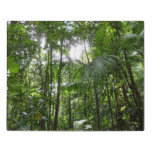 Sunlight Through Rainforest Canopy Tropical Green Jigsaw Puzzle