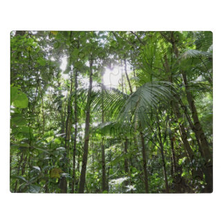 Sunlight Through Rainforest Canopy Tropical Green Jigsaw Puzzle