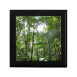Sunlight Through Rainforest Canopy Tropical Green Keepsake Box