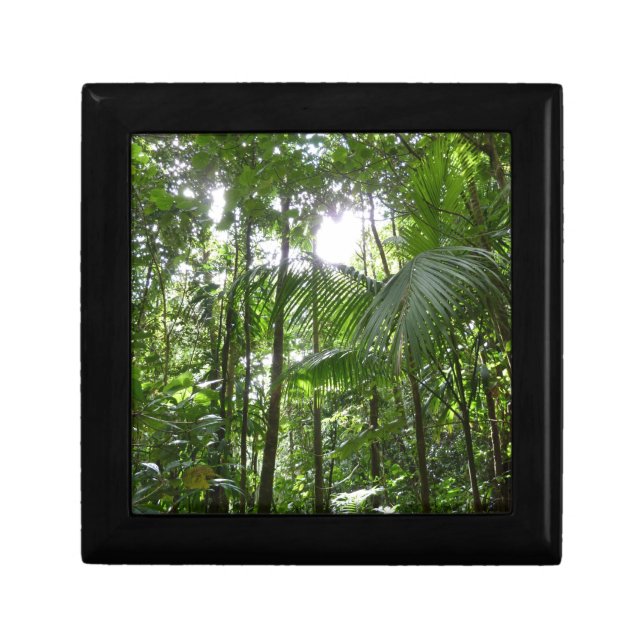 Sunlight Through Rainforest Canopy Tropical Green Keepsake Box (Front)