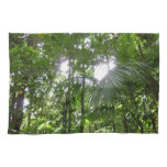 Sunlight Through Rainforest Canopy Tropical Green Kitchen Towel