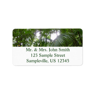 Sunlight Through Rainforest Canopy Tropical Green Label