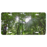 Sunlight Through Rainforest Canopy Tropical Green License Plate