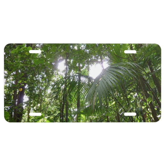 Sunlight Through Rainforest Canopy Tropical Green License Plate (Front)