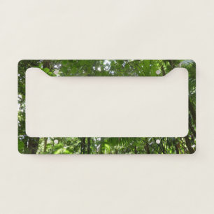 Sunlight Through Rainforest Canopy Tropical Green License Plate Frame