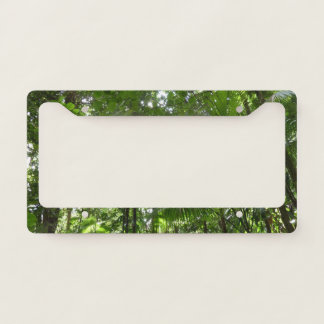 Sunlight Through Rainforest Canopy Tropical Green License Plate Frame