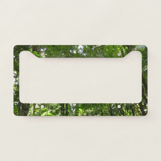 Sunlight Through Rainforest Canopy Tropical Green License Plate Frame (Front)