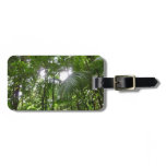 Sunlight Through Rainforest Canopy Tropical Green Luggage Tag