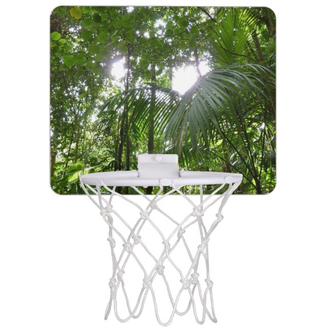 Sunlight Through Rainforest Canopy Tropical Green Mini Basketball Hoop (Front)