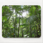 Sunlight Through Rainforest Canopy Tropical Green Mouse Pad