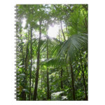 Sunlight Through Rainforest Canopy Tropical Green Notebook