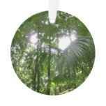 Sunlight Through Rainforest Canopy Tropical Green Ornament