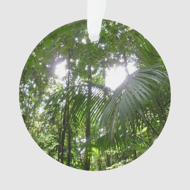 Sunlight Through Rainforest Canopy Tropical Green Ornament (Front)