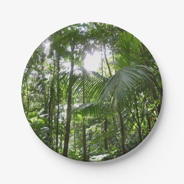 Sunlight Through Rainforest Canopy Tropical Green Paper Plates (Front)