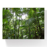 Sunlight Through Rainforest Canopy Tropical Green Paperweight