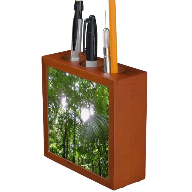 Sunlight Through Rainforest Canopy Tropical Green Pencil/Pen Holder (In Situ)