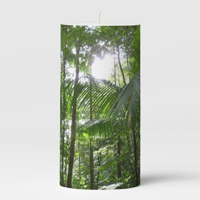 Sunlight Through Rainforest Canopy Tropical Green Pillar Candle (Front)
