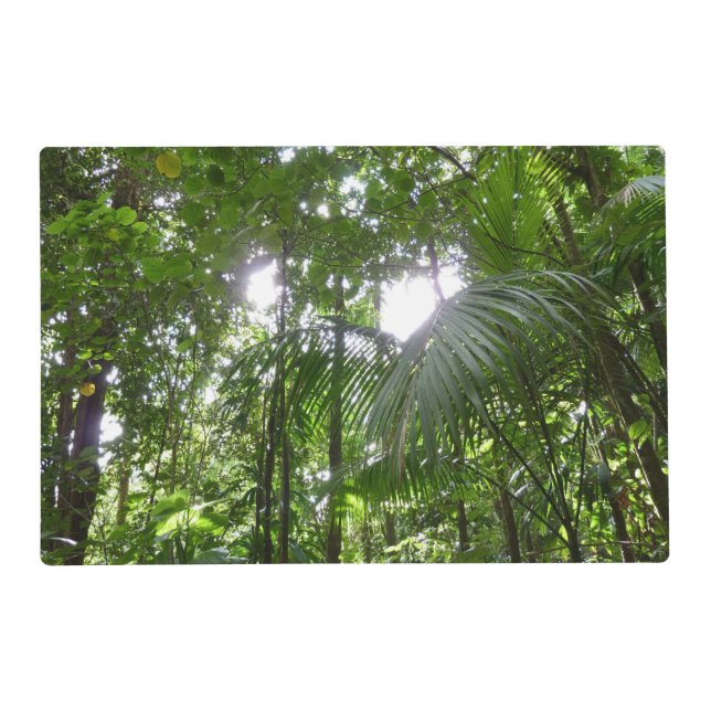 Sunlight Through Rainforest Canopy Tropical Green Placemat (Front)