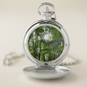 Sunlight Through Rainforest Canopy Tropical Green Pocket Watch