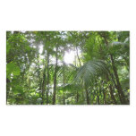 Sunlight Through Rainforest Canopy Tropical Green Rectangular Sticker