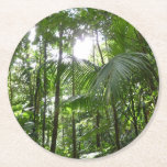 Sunlight Through Rainforest Canopy Tropical Green Round Paper Coaster