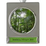Sunlight Through Rainforest Canopy Tropical Green Silver Plated Banner Ornament