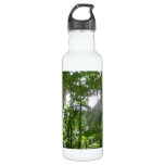Sunlight Through Rainforest Canopy Tropical Green Stainless Steel Water Bottle