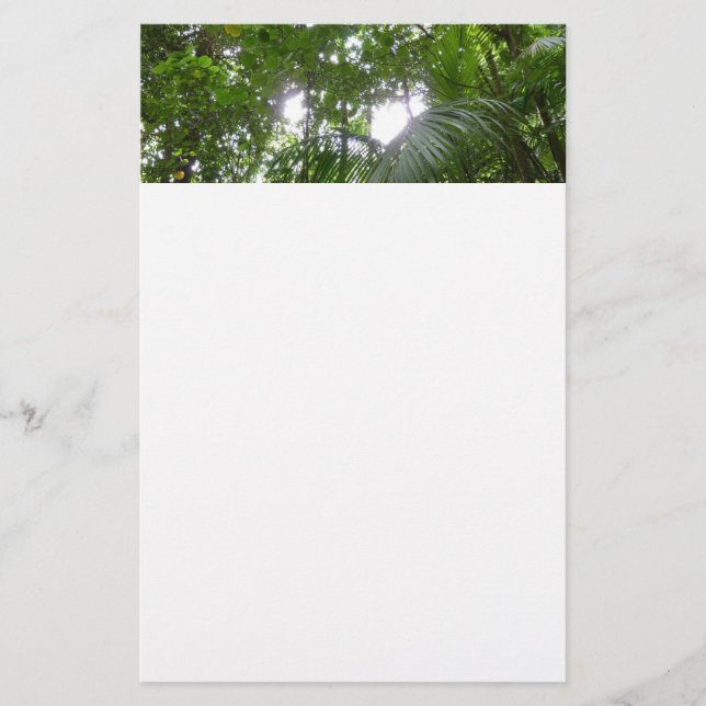 Sunlight Through Rainforest Canopy Tropical Green Stationery (Front)