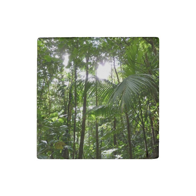 Sunlight Through Rainforest Canopy Tropical Green Stone Magnet (Front)