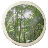 Sunlight Through Rainforest Canopy Tropical Green Sugar Cookie (Front)