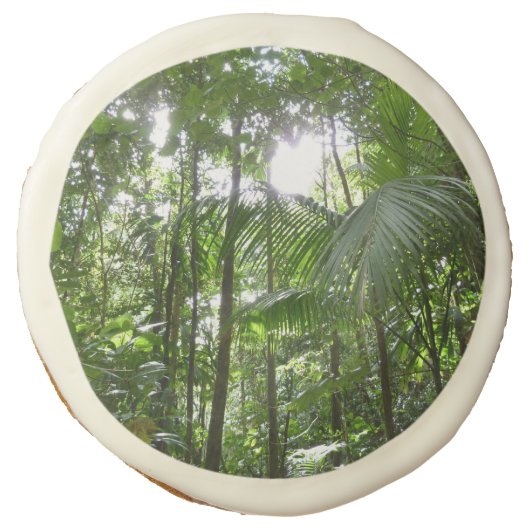 Sunlight Through Rainforest Canopy Tropical Green Sugar Cookie (Front)