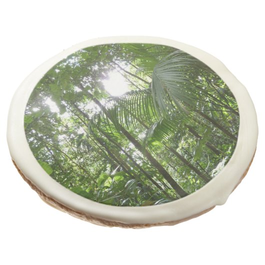 Sunlight Through Rainforest Canopy Tropical Green Sugar Cookie (Angled)