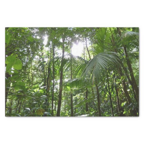 Sunlight Through Rainforest Canopy Tropical Green Tissue Paper