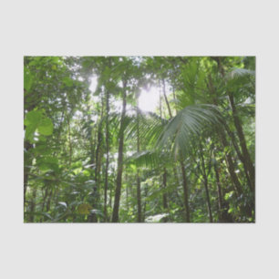 Sunlight Through Rainforest Canopy Tropical Green Tissue Paper