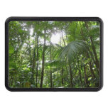 Sunlight Through Rainforest Canopy Tropical Green Tow Hitch Cover