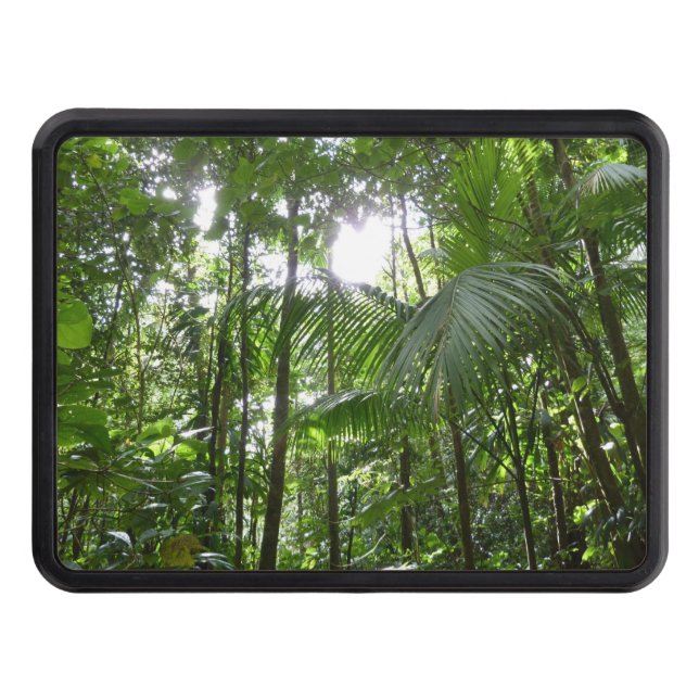 Sunlight Through Rainforest Canopy Tropical Green Tow Hitch Cover (Front)