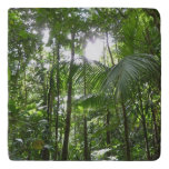 Sunlight Through Rainforest Canopy Tropical Green Trivet