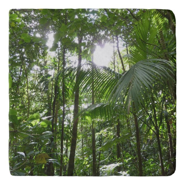 Sunlight Through Rainforest Canopy Tropical Green Trivet (Front)
