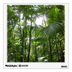 Sunlight Through Rainforest Canopy Tropical Green Wall Decal