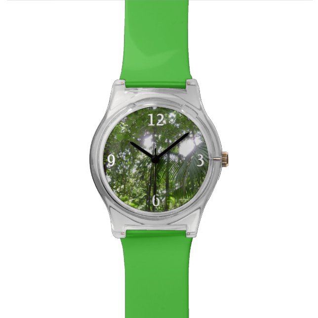 Sunlight Through Rainforest Canopy Tropical Green Watch (Close Up)