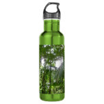 Sunlight Through Rainforest Canopy Tropical Green Water Bottle