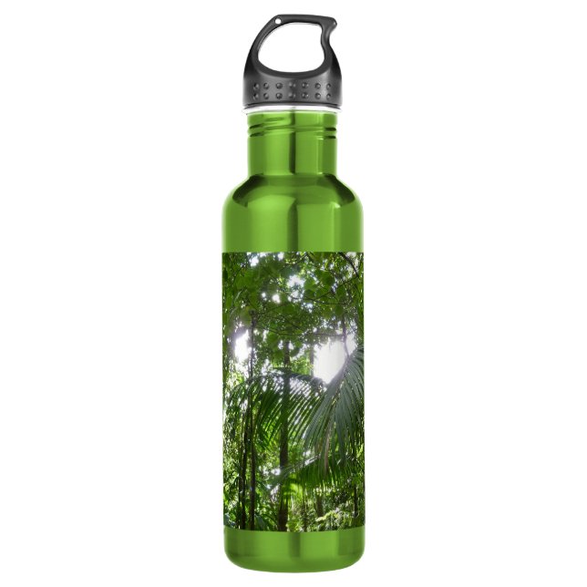 Sunlight Through Rainforest Canopy Tropical Green Water Bottle (Front)