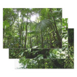 Sunlight Through Rainforest Canopy Tropical Green Wrapping Paper Sheets