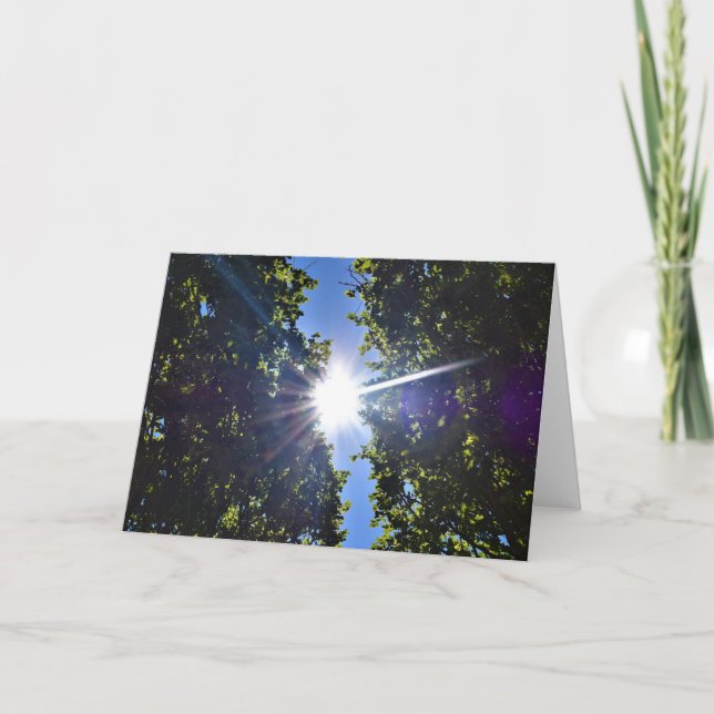 Sunlight Through Trees, card (Front)