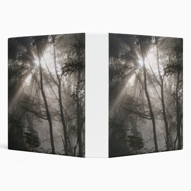 Sunlight Through Trees Dark Woodland 3 Ring Binder (Background)