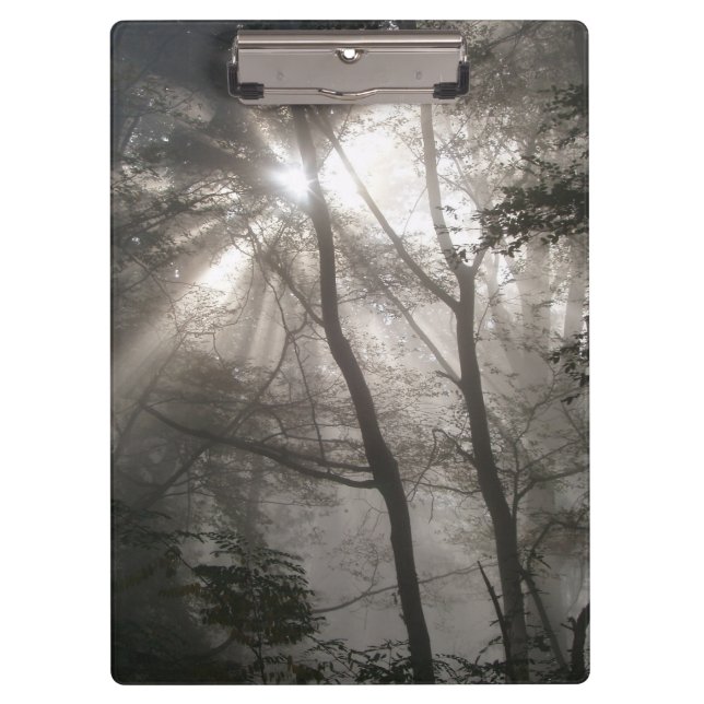 Sunlight Through Trees Dark Woodland Clipboard (Front)