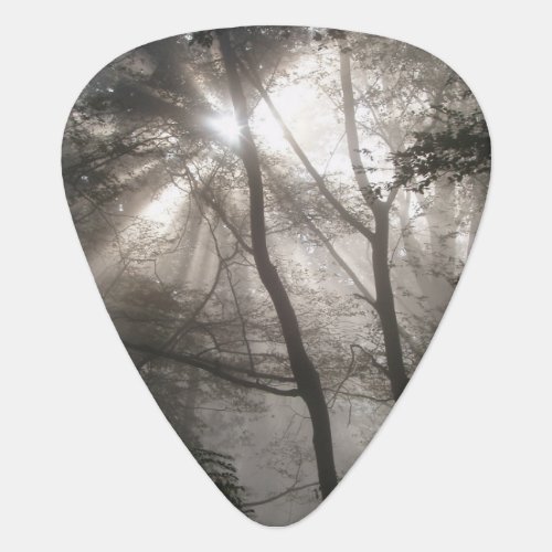 Sunlight Through Trees Dark Woodland Guitar Pick